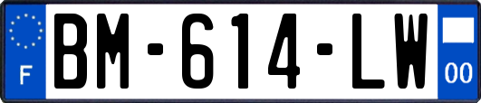 BM-614-LW