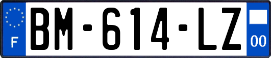 BM-614-LZ