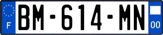 BM-614-MN