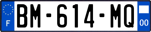 BM-614-MQ