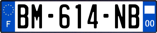 BM-614-NB