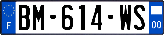 BM-614-WS
