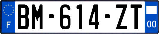 BM-614-ZT