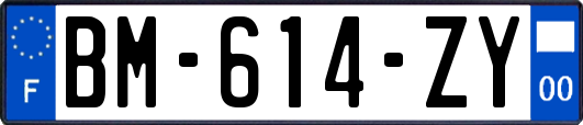 BM-614-ZY