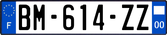 BM-614-ZZ