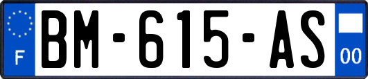 BM-615-AS