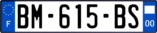 BM-615-BS