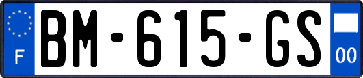 BM-615-GS