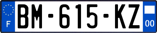 BM-615-KZ