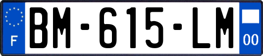 BM-615-LM