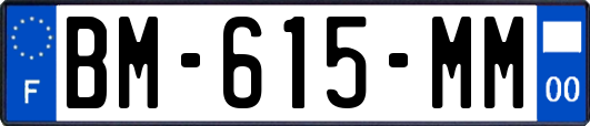 BM-615-MM