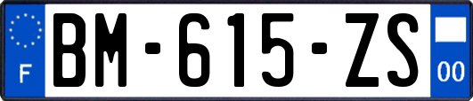 BM-615-ZS