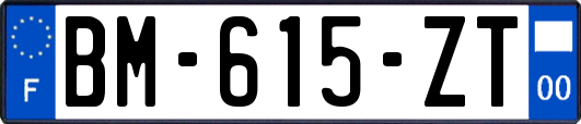 BM-615-ZT