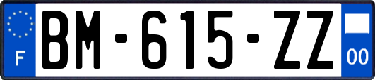 BM-615-ZZ