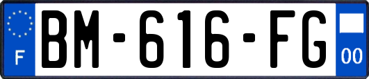 BM-616-FG