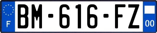 BM-616-FZ