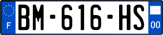 BM-616-HS