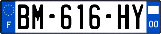 BM-616-HY