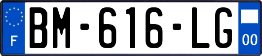 BM-616-LG