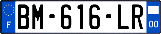 BM-616-LR