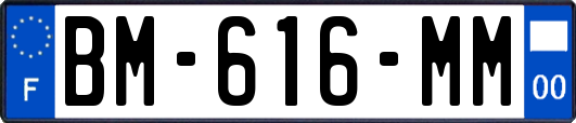 BM-616-MM