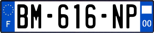 BM-616-NP