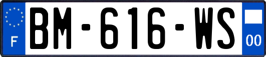 BM-616-WS