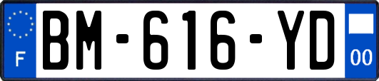 BM-616-YD