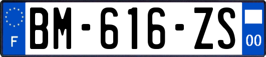 BM-616-ZS