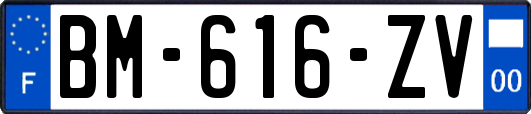 BM-616-ZV