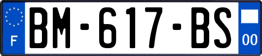 BM-617-BS