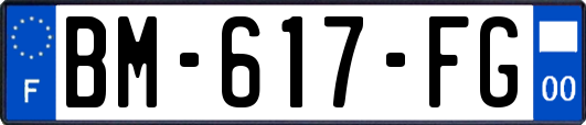 BM-617-FG