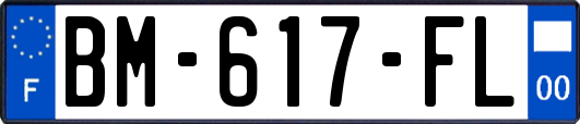 BM-617-FL