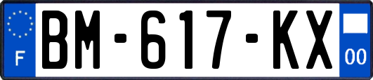 BM-617-KX