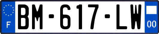 BM-617-LW