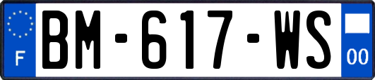 BM-617-WS