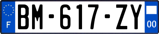 BM-617-ZY