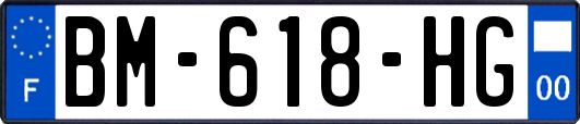 BM-618-HG