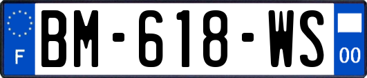 BM-618-WS