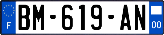 BM-619-AN