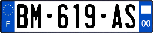 BM-619-AS