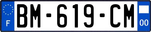 BM-619-CM