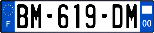 BM-619-DM