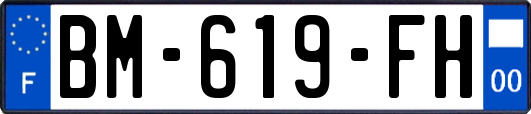 BM-619-FH