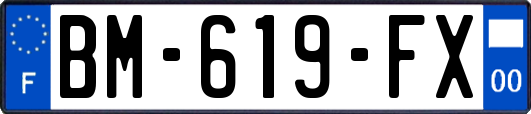 BM-619-FX