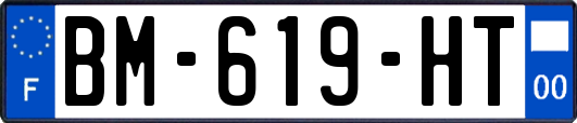BM-619-HT