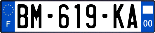 BM-619-KA