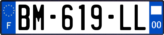 BM-619-LL