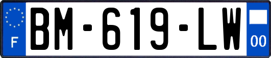 BM-619-LW