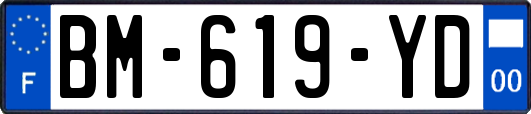 BM-619-YD